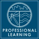 Blue background with Groundswell logo and the words "professional learning" on February 2, 2026